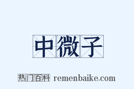 中微子是什么意思的图片